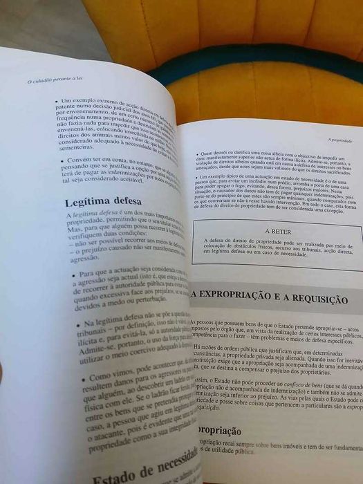 Livro - O Cidadão Perante a Lei