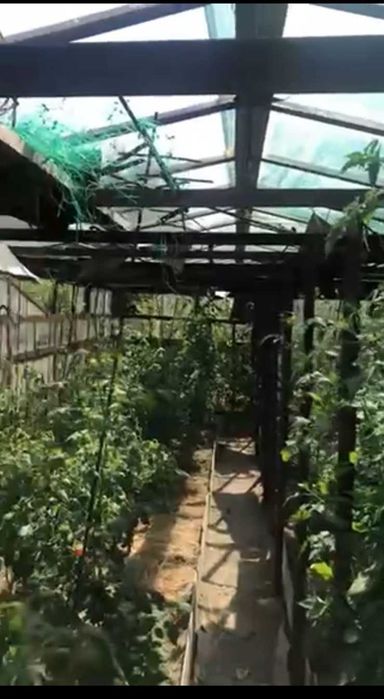(3) Продам дачу будинок в с. Сальник Калинівський р-н 4945