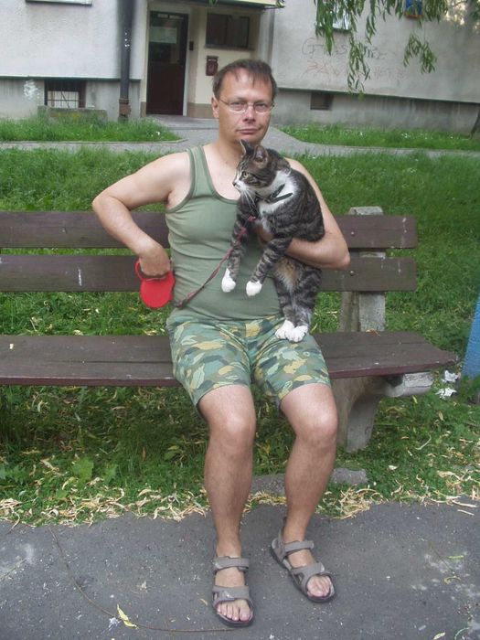 Petsitter - opieka nad psem lub kotem