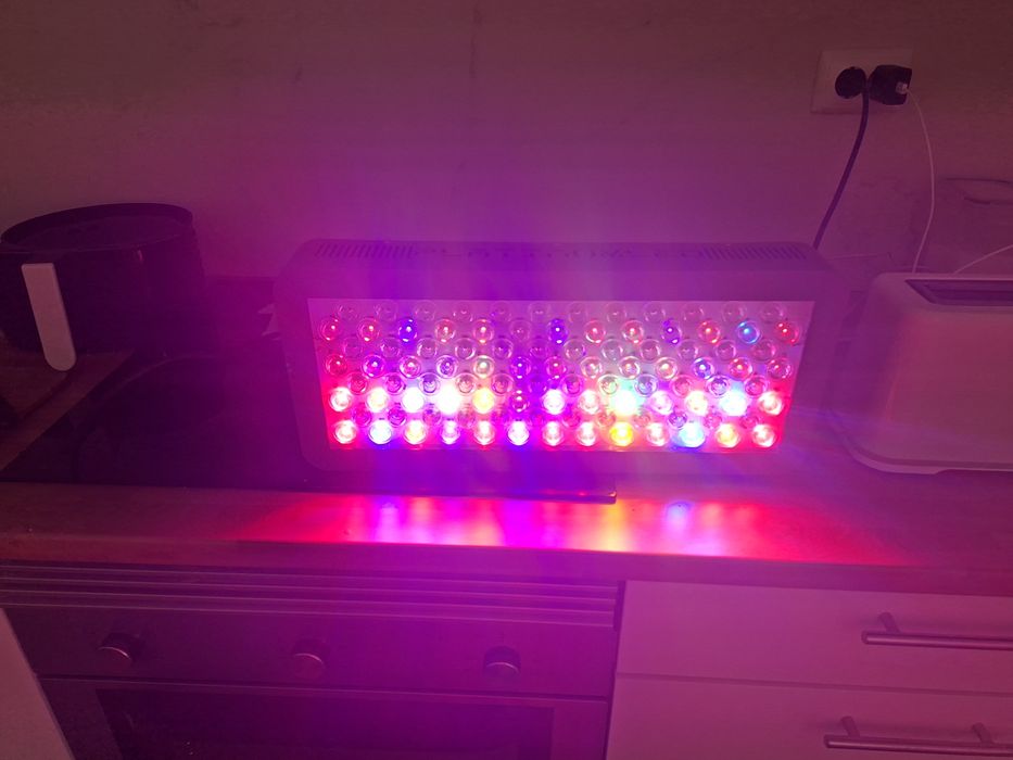 Painel luz de cultivo LED