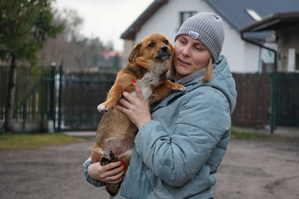 Blusia - mała, ruda sunia szuka domu