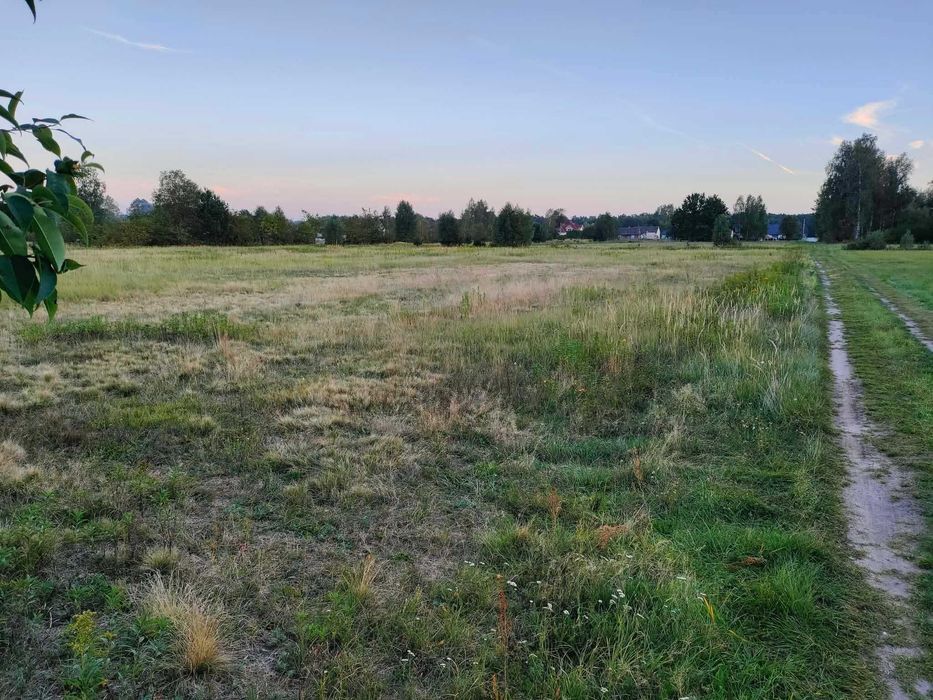 DZIAŁKA 24ar z WZ, Goliszowiec