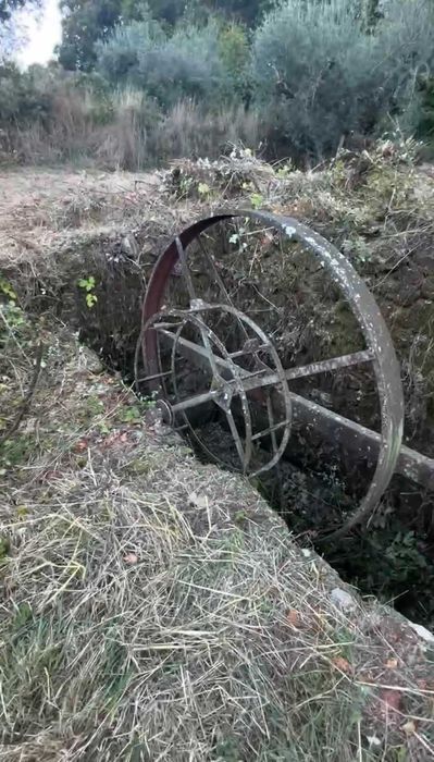 Terreno Souto da Casa com Oliveiras e Ruina
