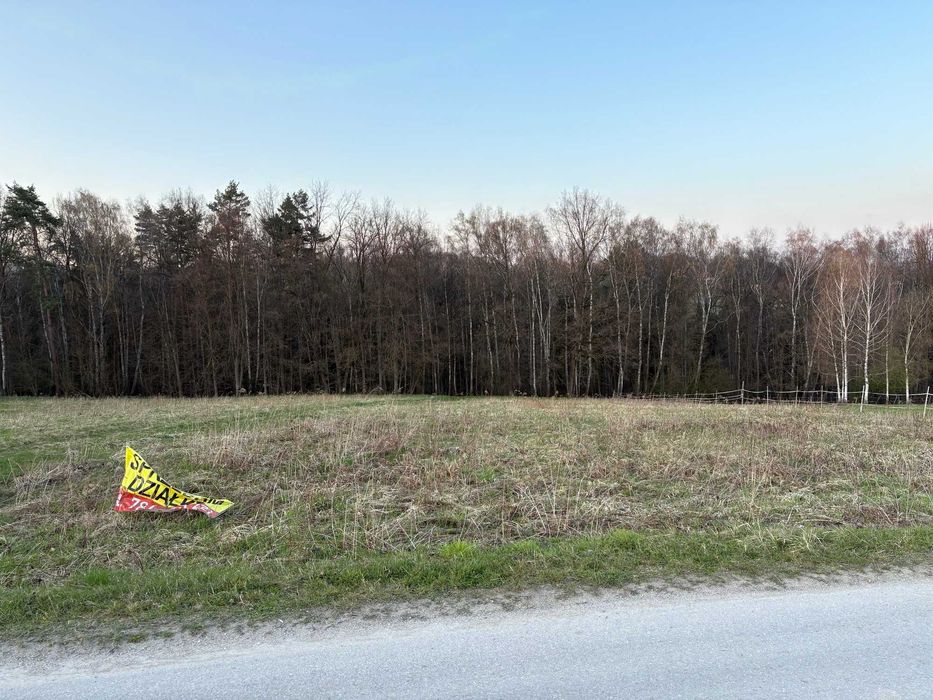 Sprzedam działkę 20 arów Głogoczów - Widok 4