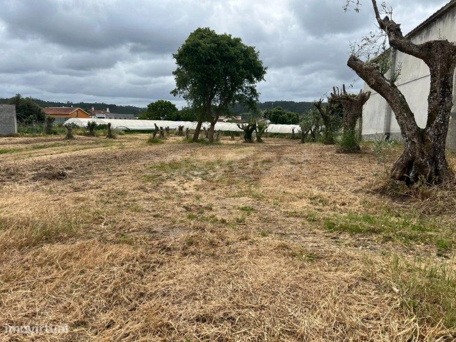 Terreno com 915m² para construção de Moradia - Ortigosa