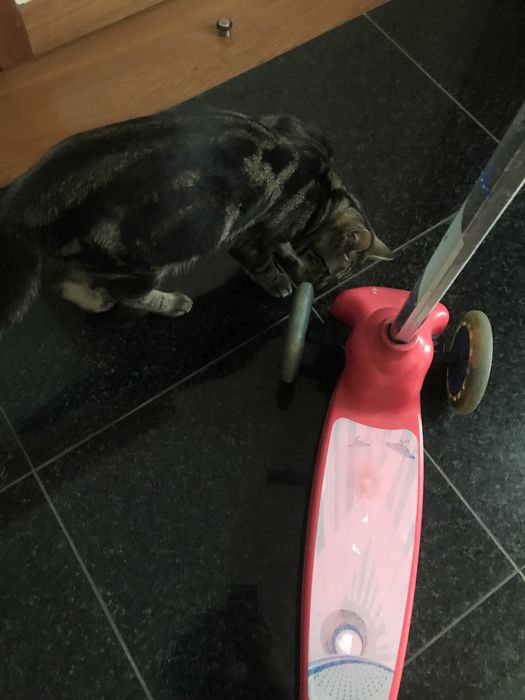 Trotinete de criança