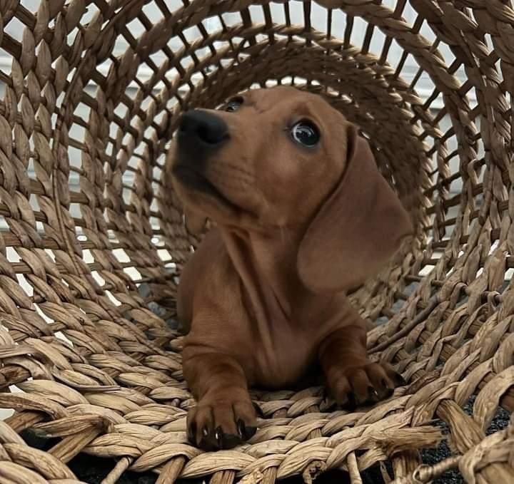 Хлопчики і дівчатка красиві