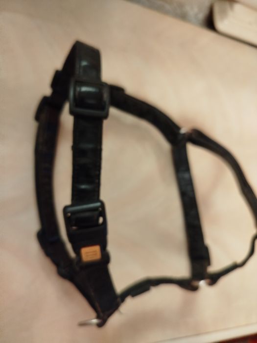 Одежда для собак