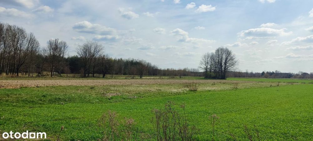 Działka budowlana 1351 m² - Piechoty gm. Padew Narodowa - Więcej