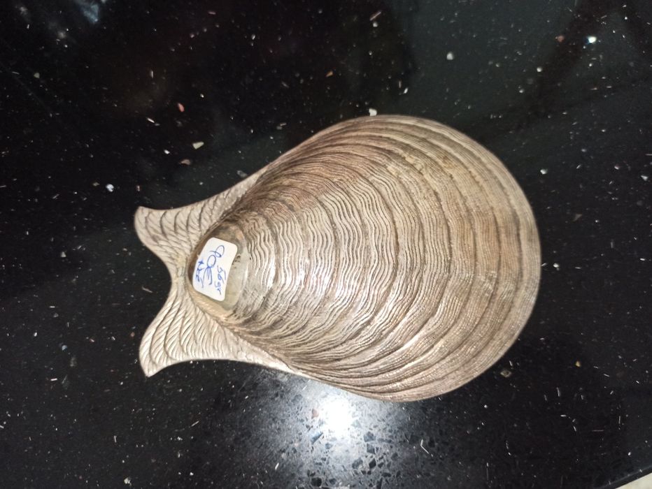 Concha de batismos em prata