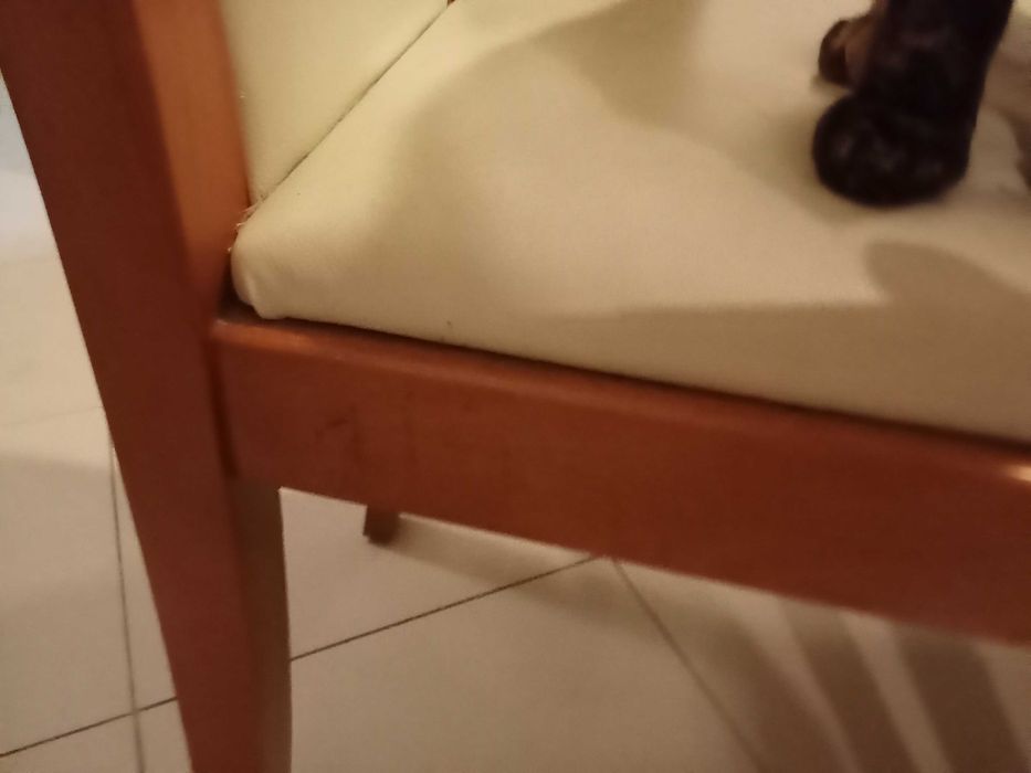 4 cadeiras em cerejeira