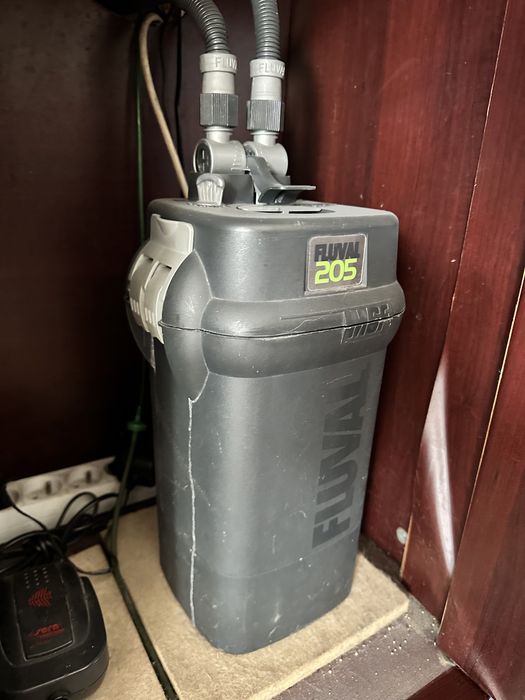 Akwarium z rybami