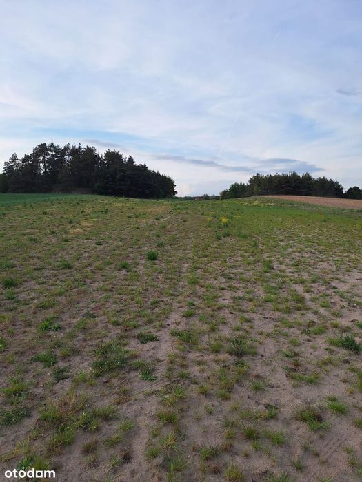 Działka budowlana w cichej okolicy - Widok 5