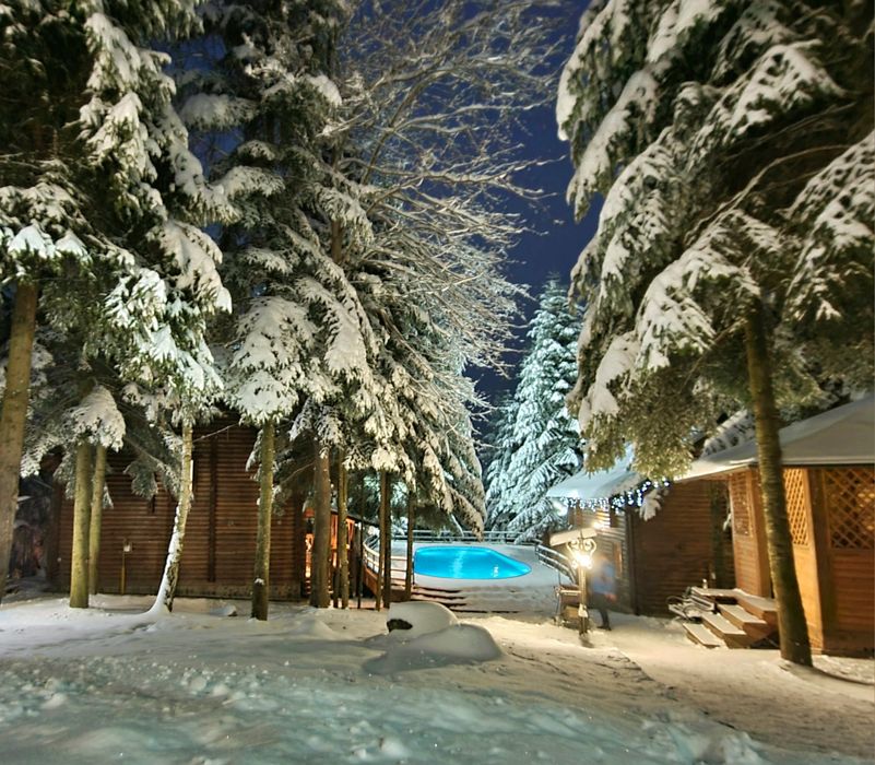 Будинки в Карпатах.  Котедж в Мигово