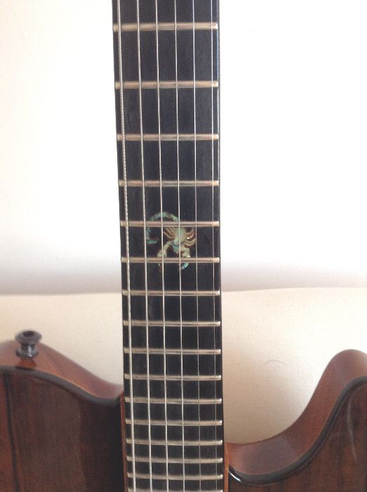 Telecaster  z modyfikacjami