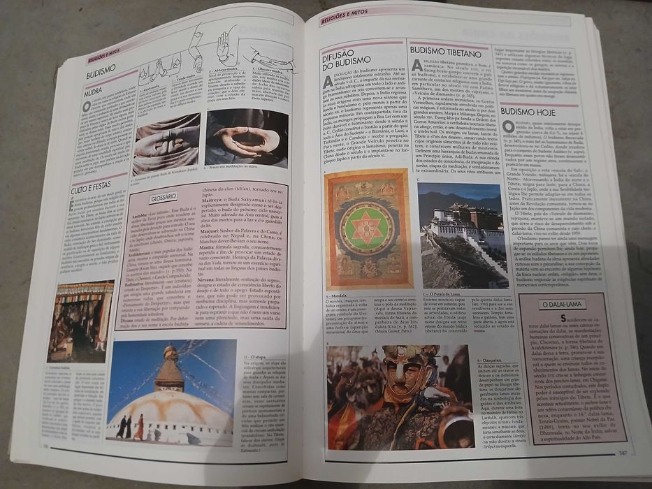 Enciclopédia Visual e Temática Larousse