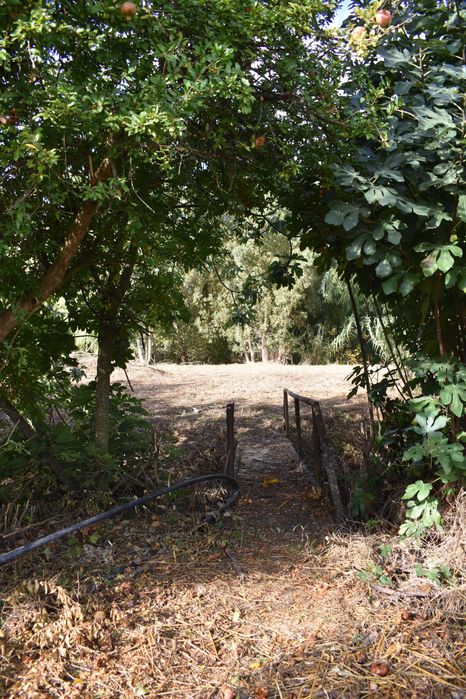 Quintinha junto ao rio Almonda