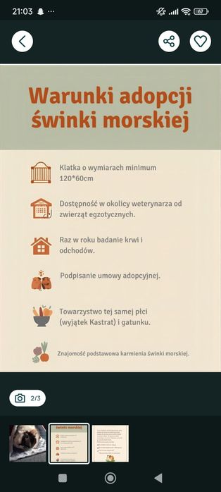 Dom tymczasowy dla Kawiii domowej