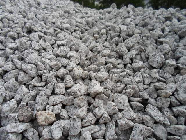 Grys Granitowy 16/22, Dalmatyńczyk