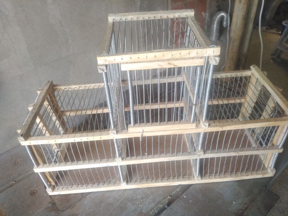 Alçapão automático