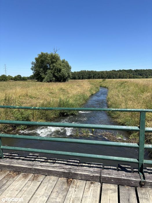 Działka rolna/rekreacyjna 6 900 m2 w Nowej Wsi, oddam w dobre ręce