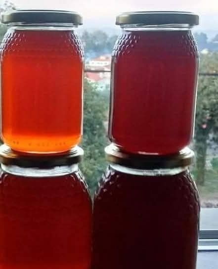 Frascos Mel caseiro 1kg