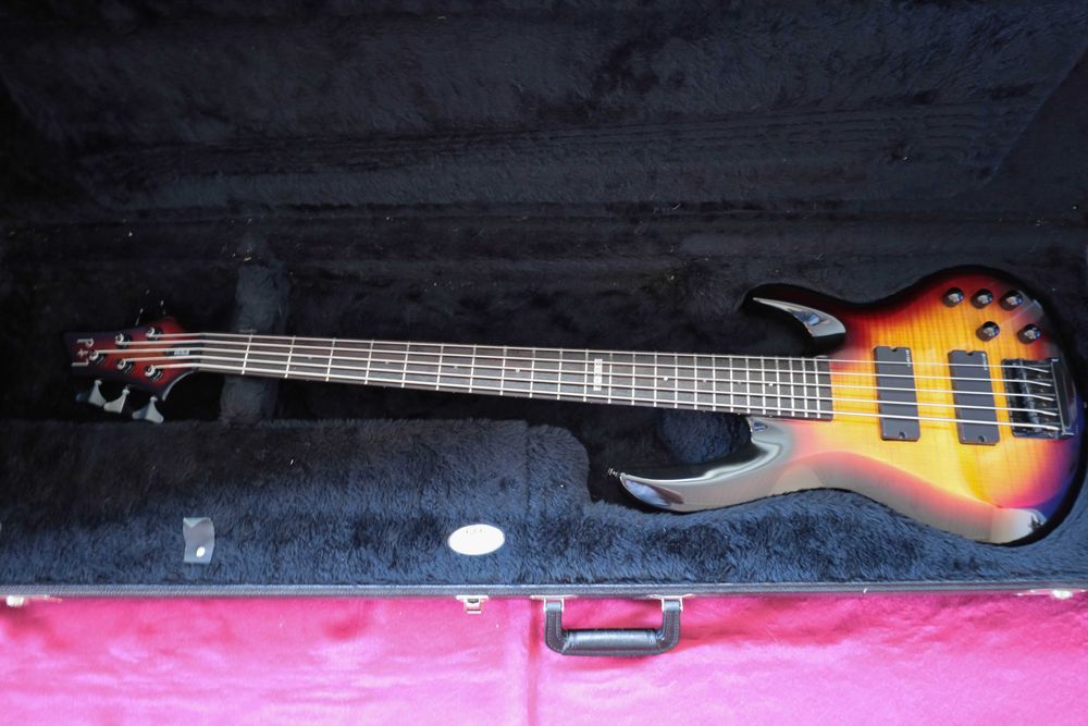 ESP LTD B305 із кейсом