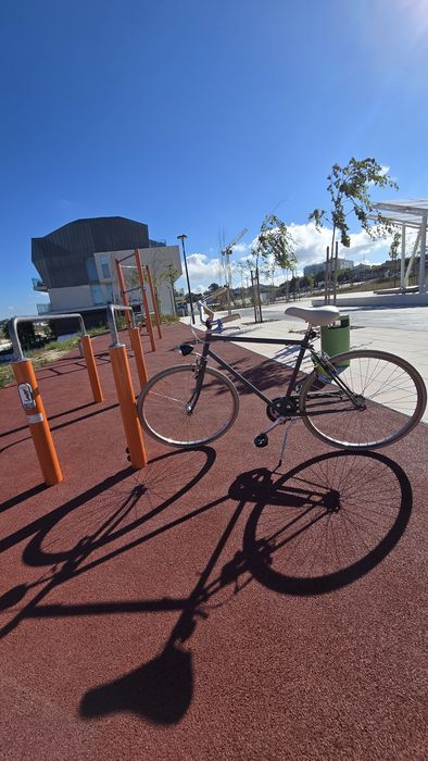 Bicicleta italiana (marca Alpina)