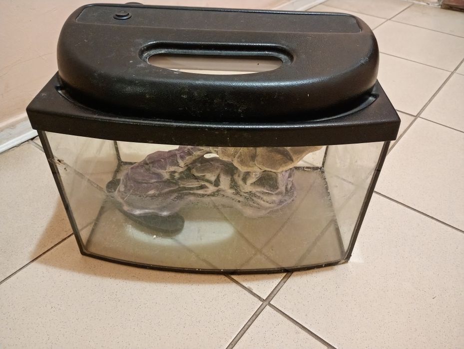 Продам аквариум бу с декором.