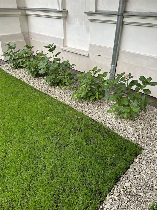 KORA KAMIENNA Płukana Kamień Kruszywo Gnejsy Kamień w Workach Grys