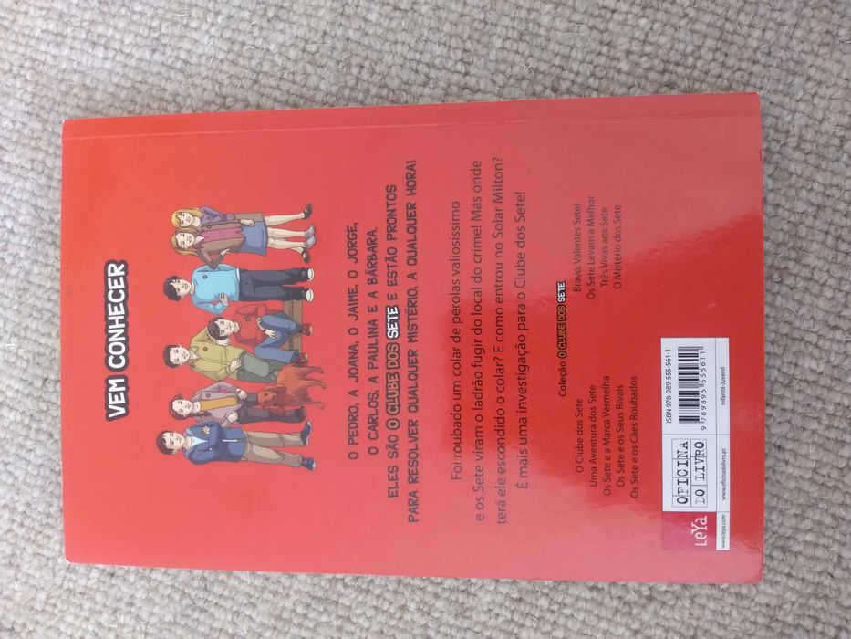 Livro Uma aventura dos sete 2