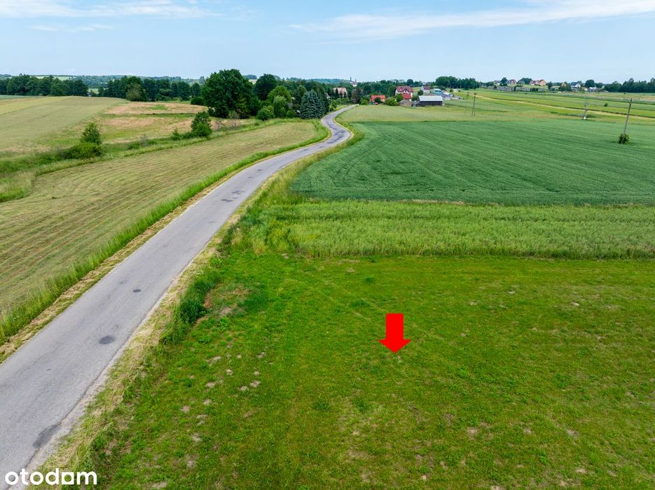 Działka - Wzdół Kolonia / Bodzentyn / 30km od Kielc - 6100m2