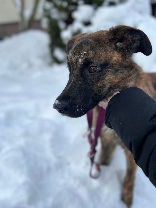 Neptunek szuka swojej chaty