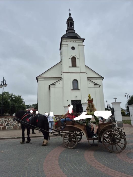 Bryczka konna drewniana powóz