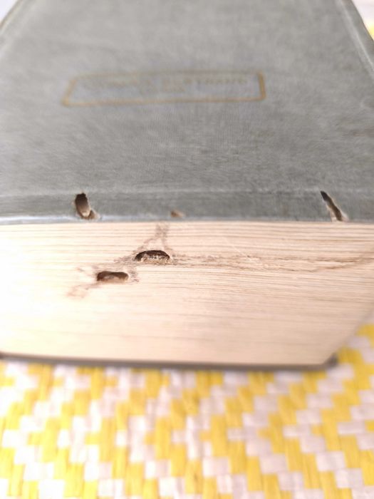 Pequeno Dicionário da Língua Portuguesa – 
Cândido de Figueiredo