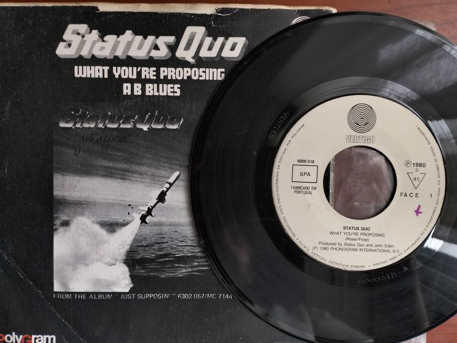 Single Status Quo - What You're Proposing