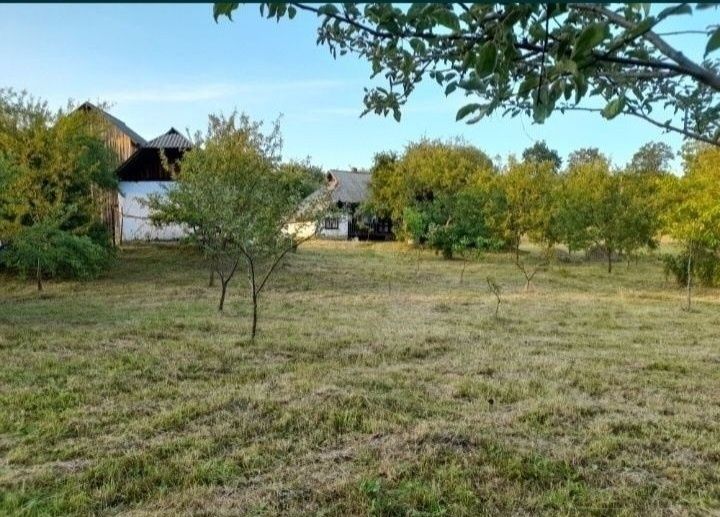 Продаю Землю. Продаж