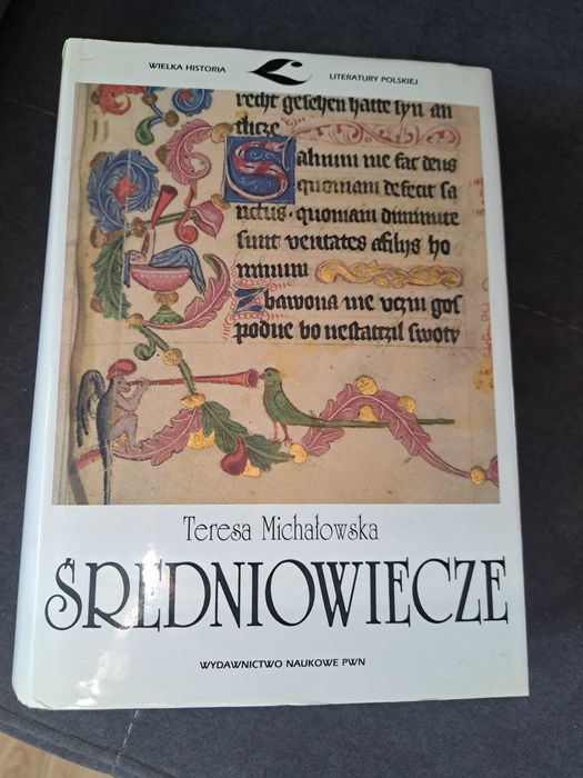 Średniowiecze - Teresa Michałowska