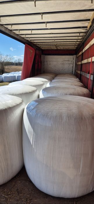 Bele kiszonki kukurydzy cena z transportem