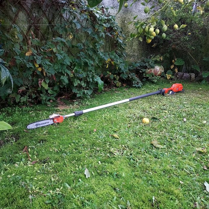 Jardineiro profissional