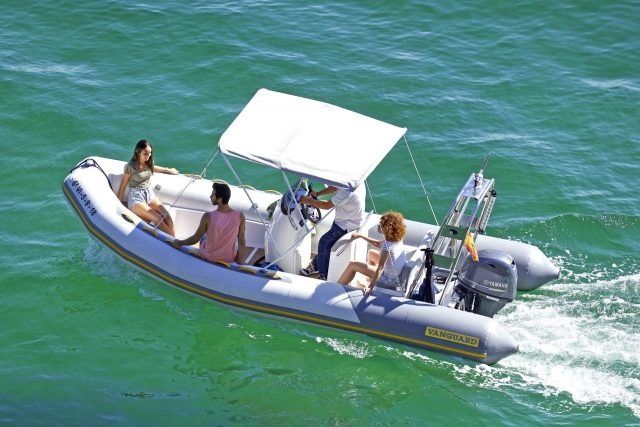 Vanguard 560 Family c/ Honda 100CV