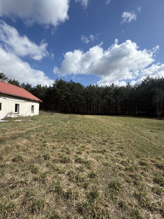 Dom z działką 3500 m2