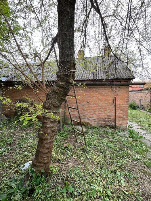 Продам ділянку Старе місто (8340)