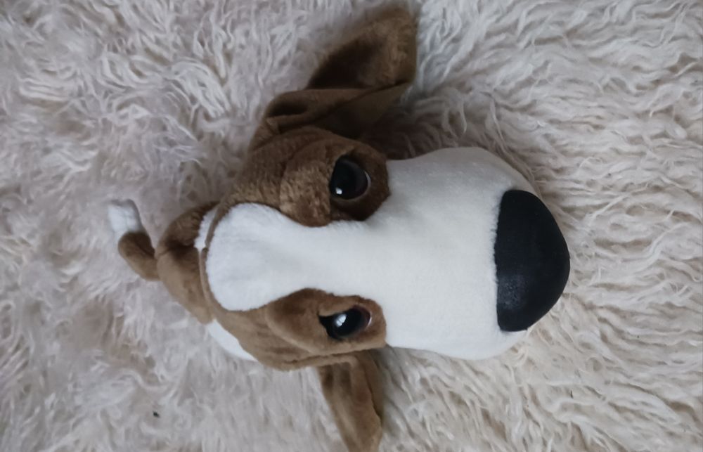 Kolekcjonerskie pluszaki, tccglobal.