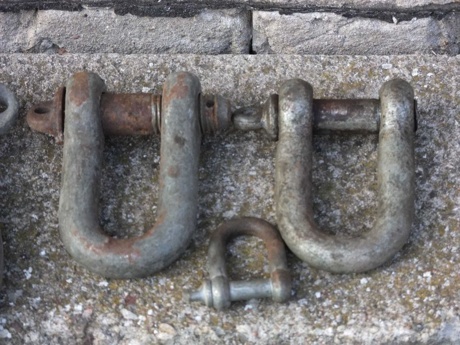 Szekle do szczepiania lin- zestaw