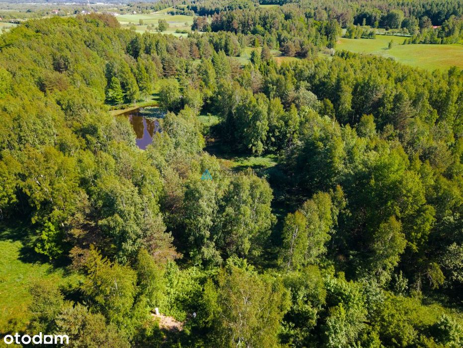 Działka w otulinie lasów! - Widok 2