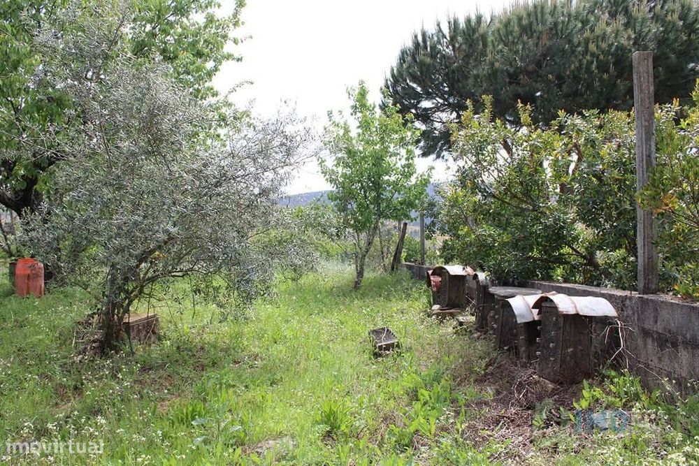 Lote de Terreno