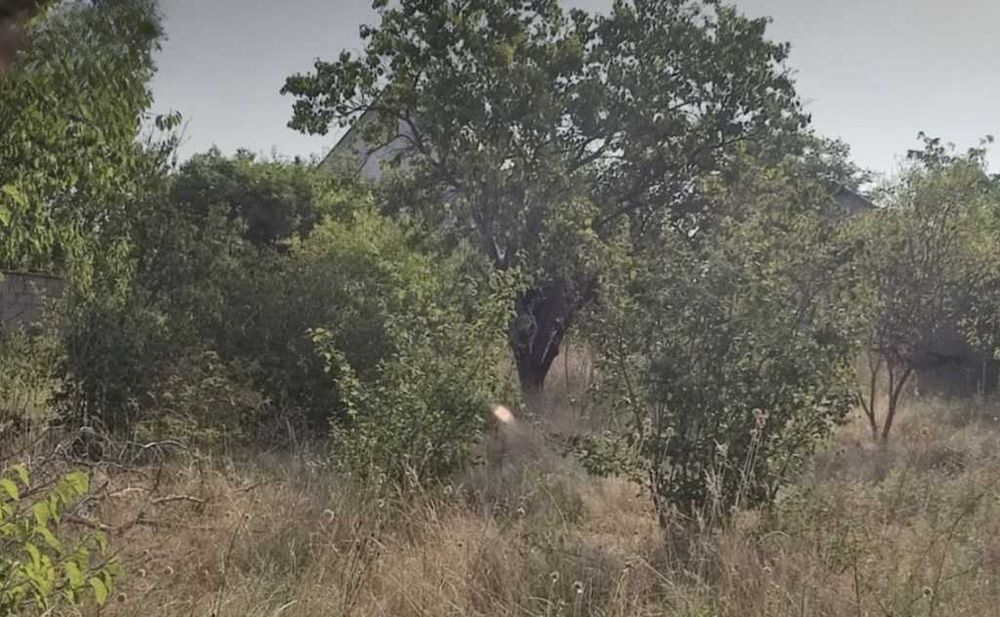 Супер пропозиція!