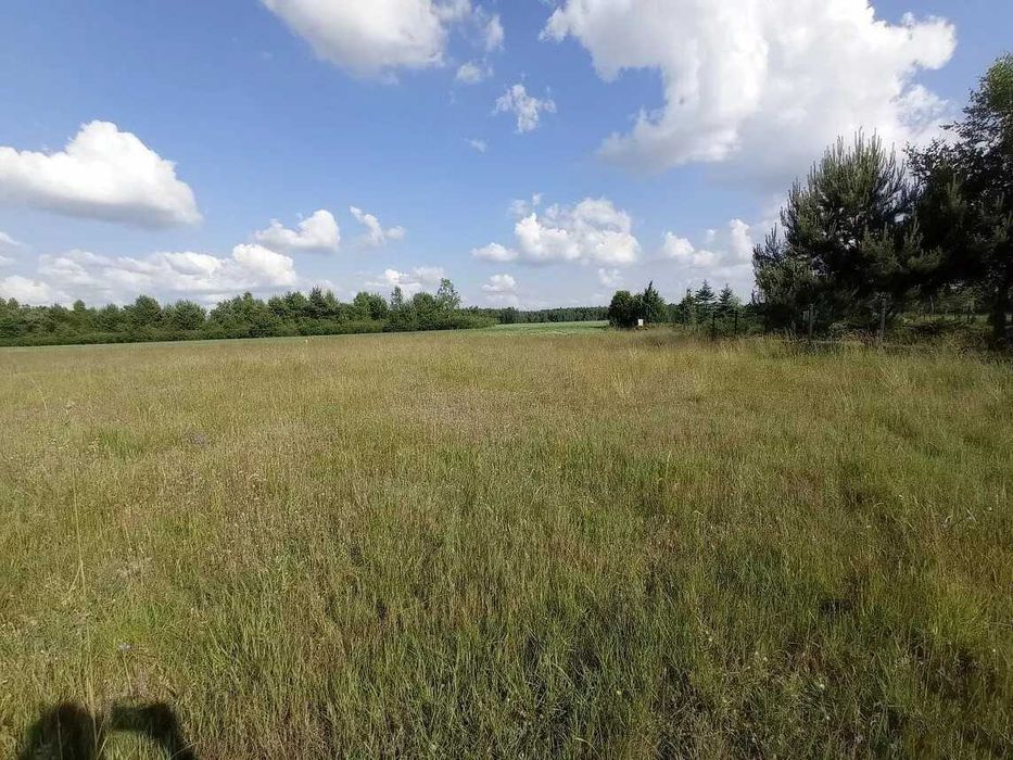 Zdjęcie 3