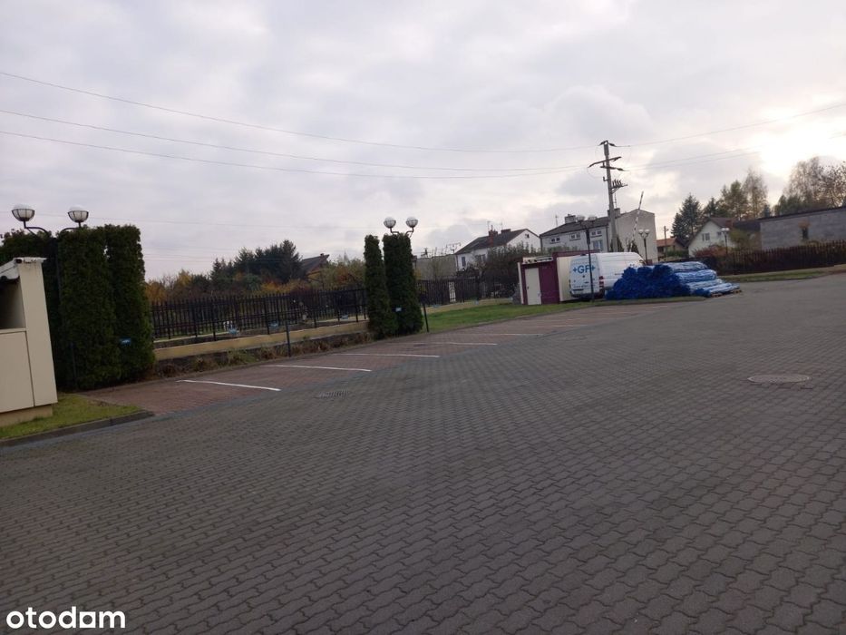 Zdjęcie 7